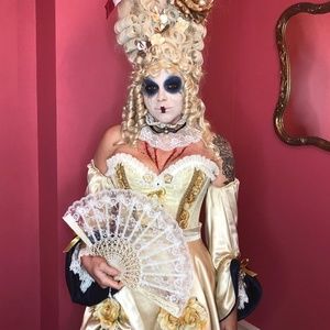 Entire Marie Antoinette Halloween Costume + wig